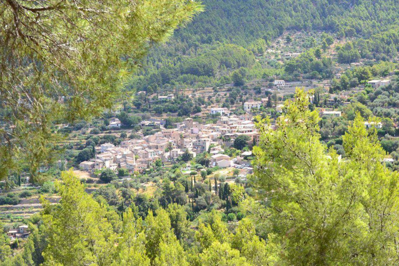 Nord Estellenchs